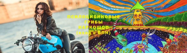 герыч Алзамай