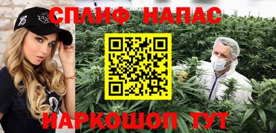 гашик Кунгур