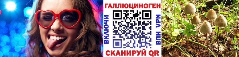 Галлюциногенные грибы GOLDEN TEACHER  блэк спрут рабочий сайт  Кашира 