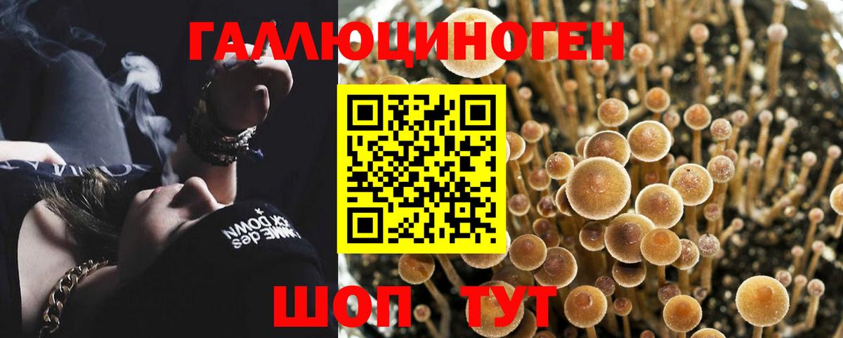 Кашира  Галлюциногенные грибы прущие грибы  Вход с VPN 